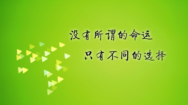 民生大参考官网_民生大参考百度百科_民生大参考