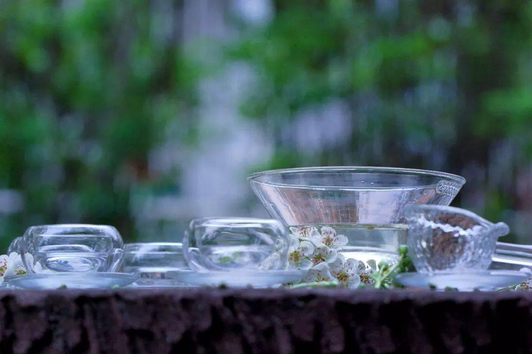 谱花样年华_花谱_谱花章