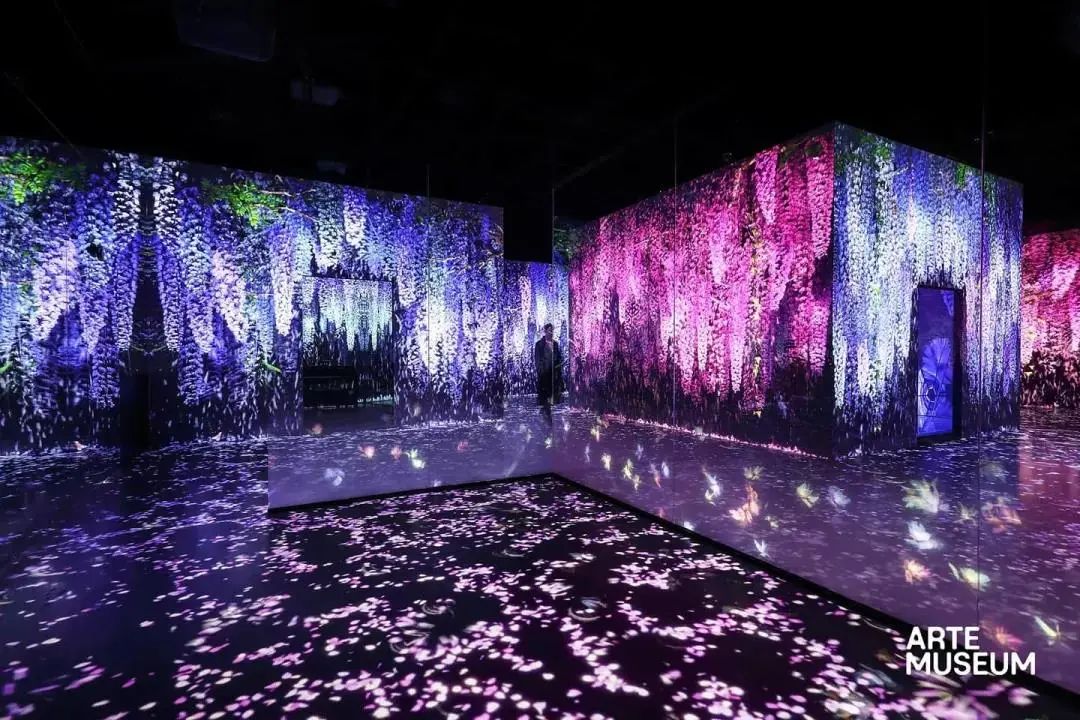 谱花样年华_谱花章_花谱