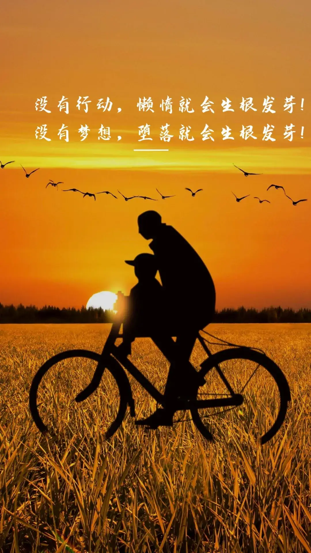 森下里纪惠_森惠食品有限公司_森惠在哪里