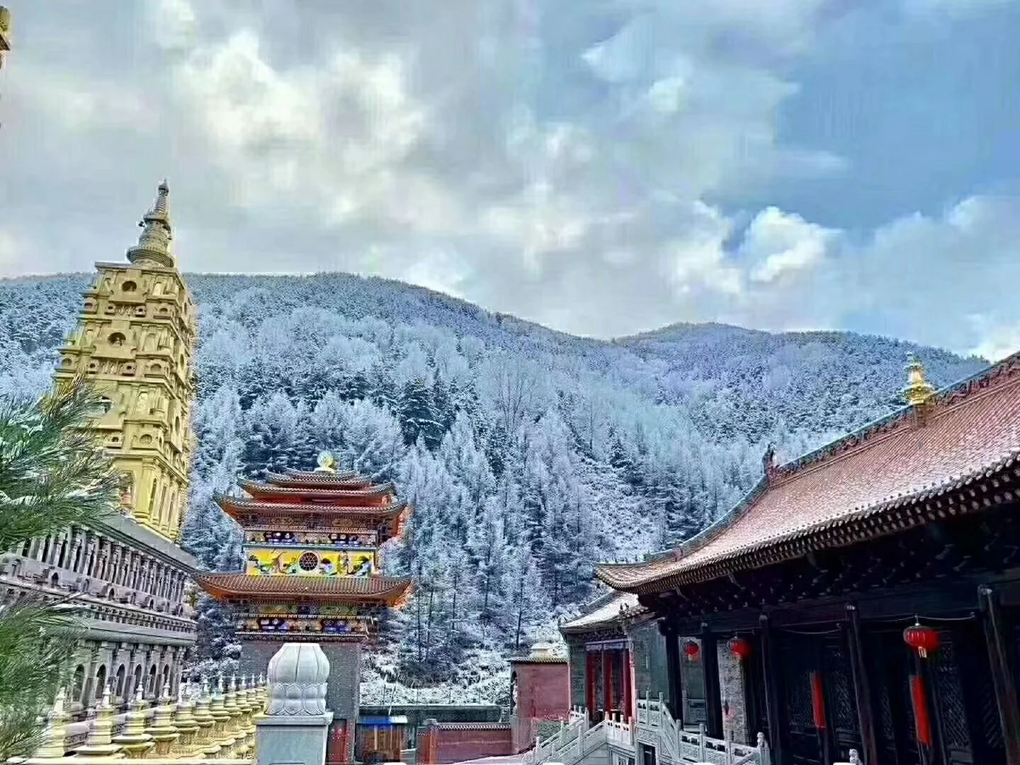 方碧玲：生活中的明灯，如清新绿意绽放心田