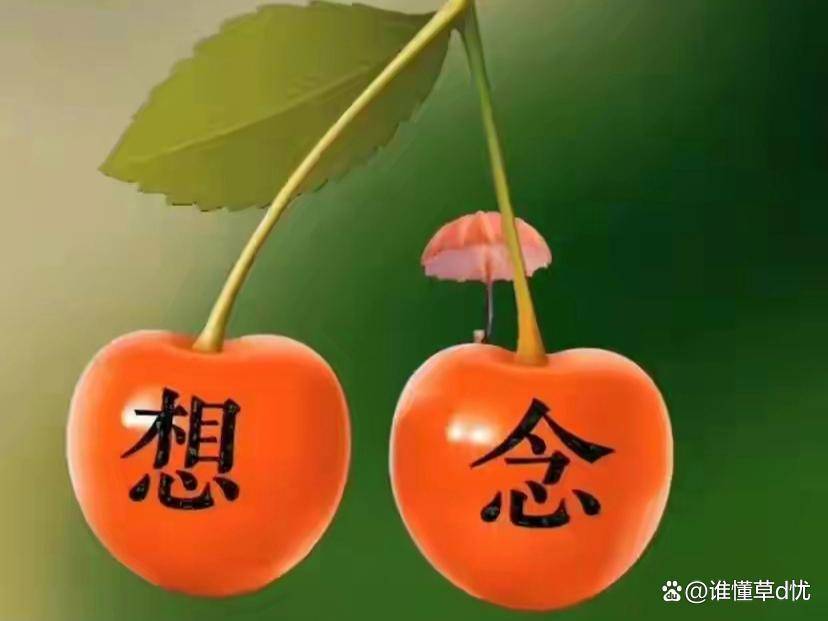 神秘魔像：古老咒语与无尽想象力的结晶，触动心灵的存在