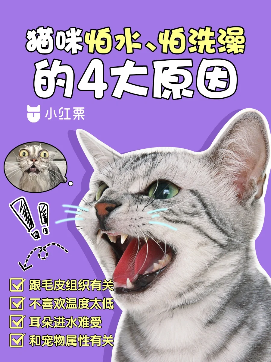 电脑中文打字打不出来字只有字母_电脑打字母怎么出现汉字_电脑字打出来是字母怎么变文字