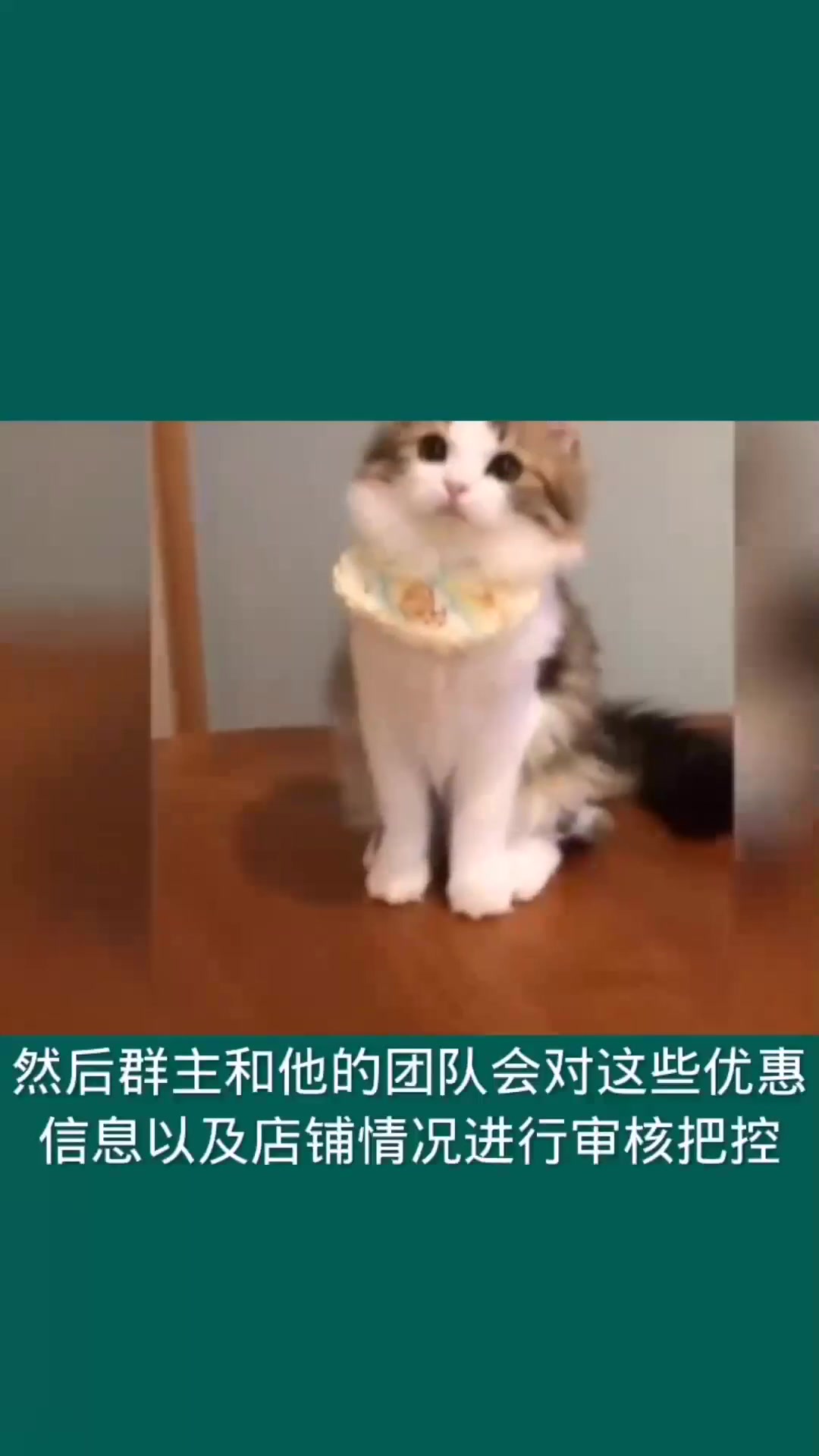 饿了么吃货豆兑换的红包有效期_吃货豆兑换红包谁承担_吃货豆怎么兑换红包