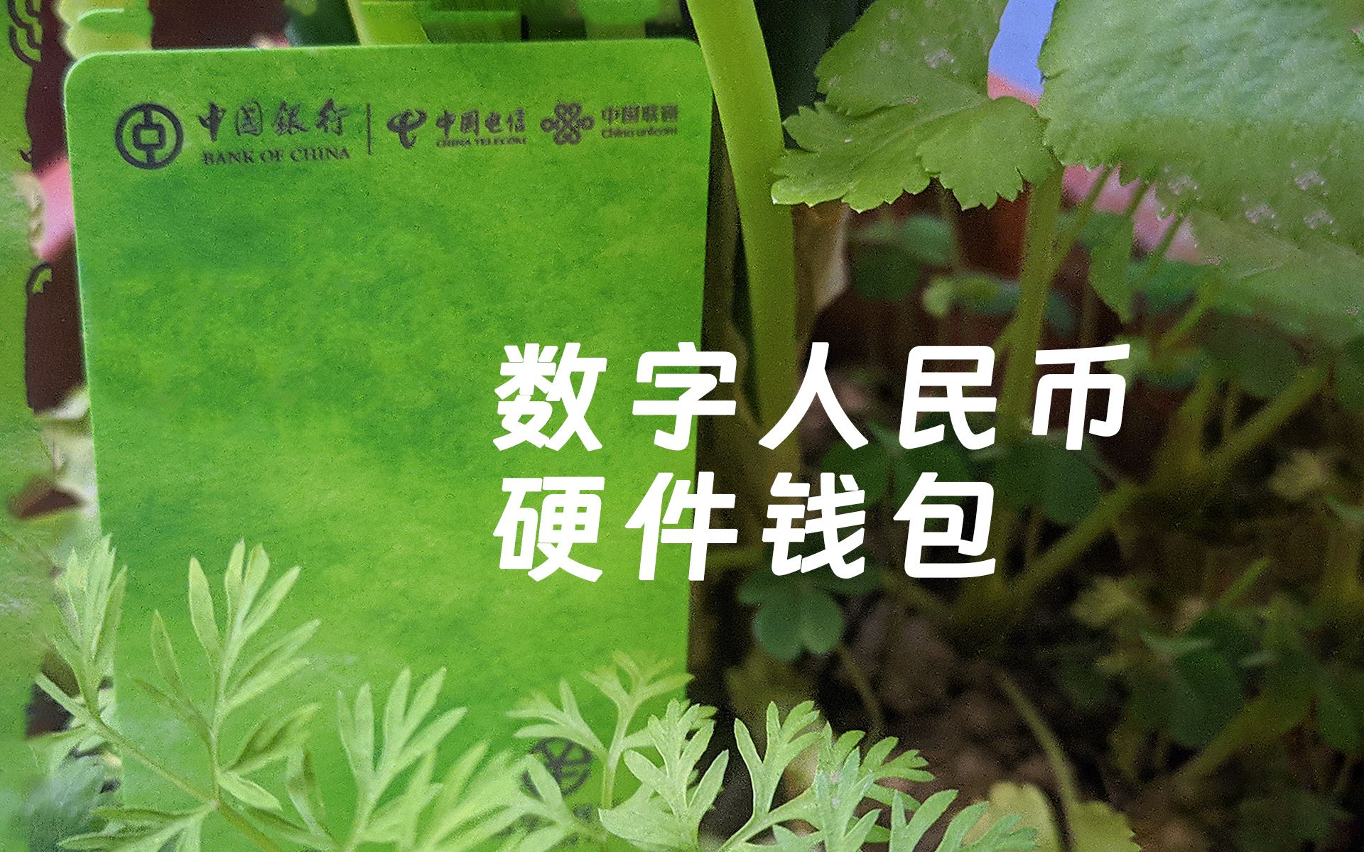 imtoken钱包能存什么币_im钱包可以存usdt_钱包里面的币可以买卖吗