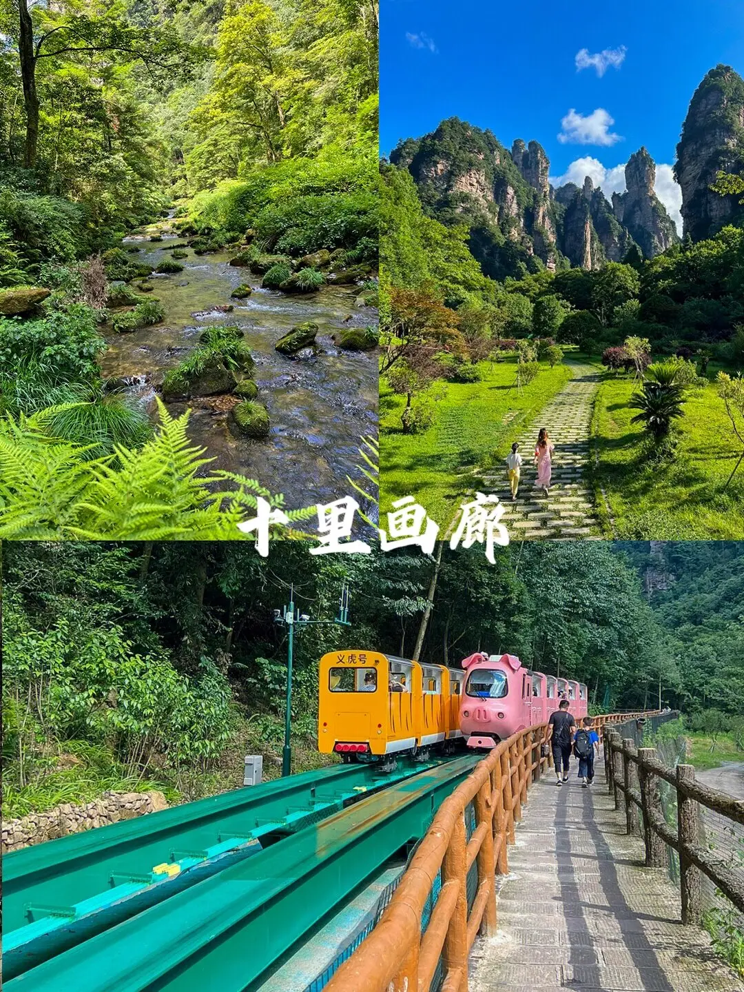 全图跑的仿真风景手机游戏_仿真风景画_风景模拟游戏