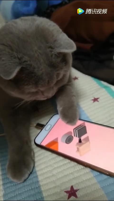 心跳链接游戏 