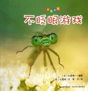 眨眼像素鸟 