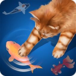猫咪捉迷藏 
