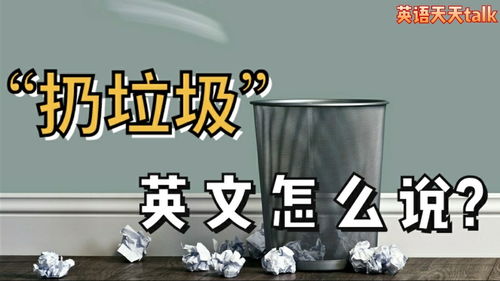 垃圾游戏英文怎么说,Exploring the English Terminology for 'Garbage Games'