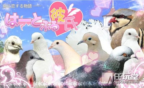 鸽子模拟器手机版 