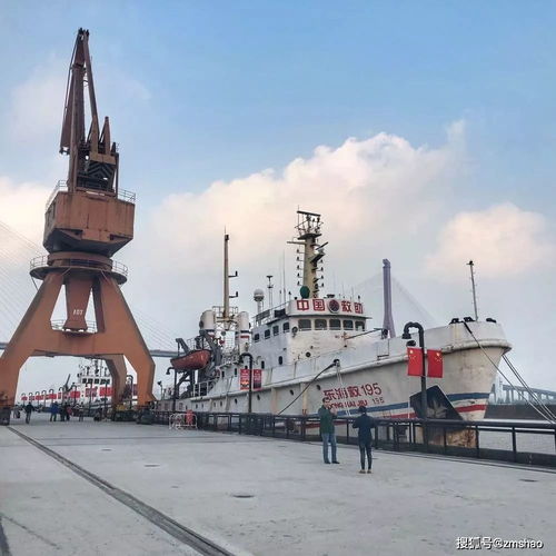 躺平发育游戏破解版无限金币 
