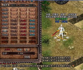盘龙网络游戏,探索无尽魔幻世界的奥秘