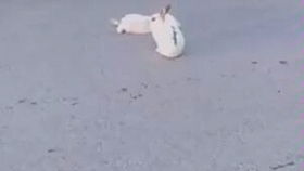 这游戏费脑 
