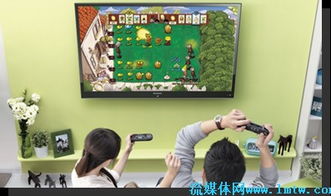 v10玩家免费 
