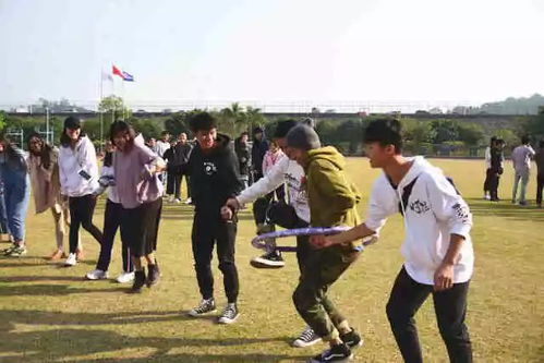 呼啦少儿英语 