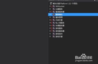 玄竹影视配置地址下载 
