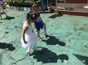 影子游戏实验,揭秘人类心理与认知的奥秘