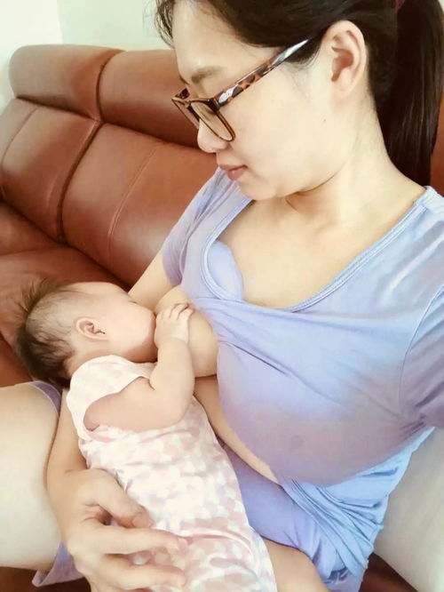 垃圾是一定要分类的游戏下载 