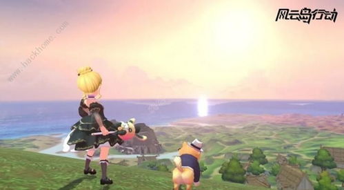 小柴手帐  小柴手帐