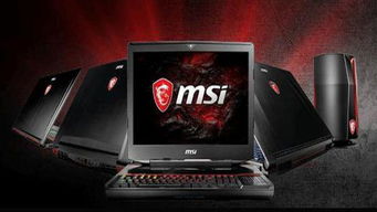 豪华大游轮物语 