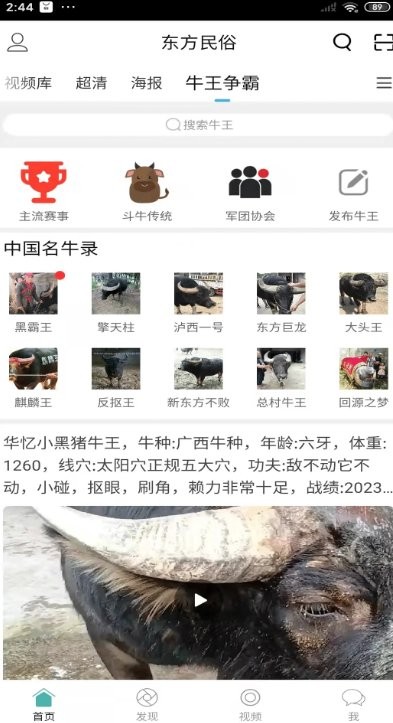 酷牛斗牛直播  酷牛斗牛直播