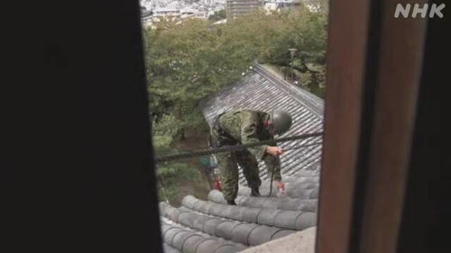 日本自卫游戏,捍卫国土的虚拟征程