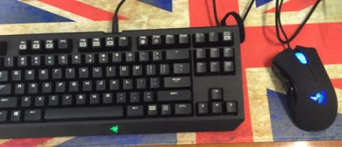 鼠标连点器免费版 